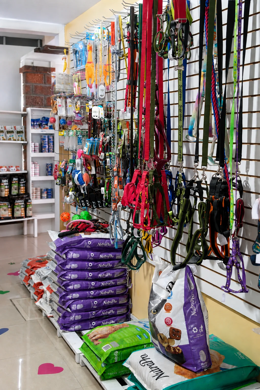 Accesorios y Complementos